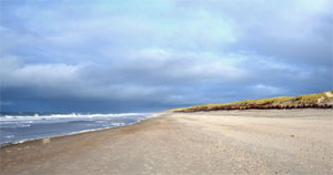 Am Strand entstehen neue Ideen